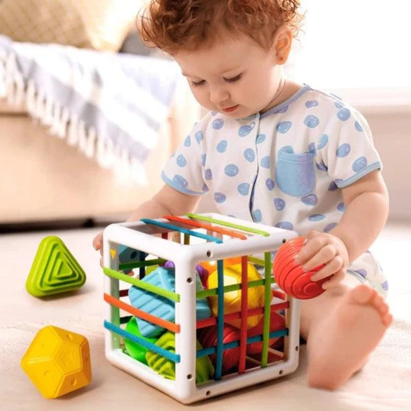 Cubo Sensorial Montessori - Favoritoz